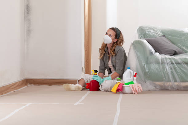 Reliable Mold Remediation contractor in New Hope, OR by WQB Mold Removal